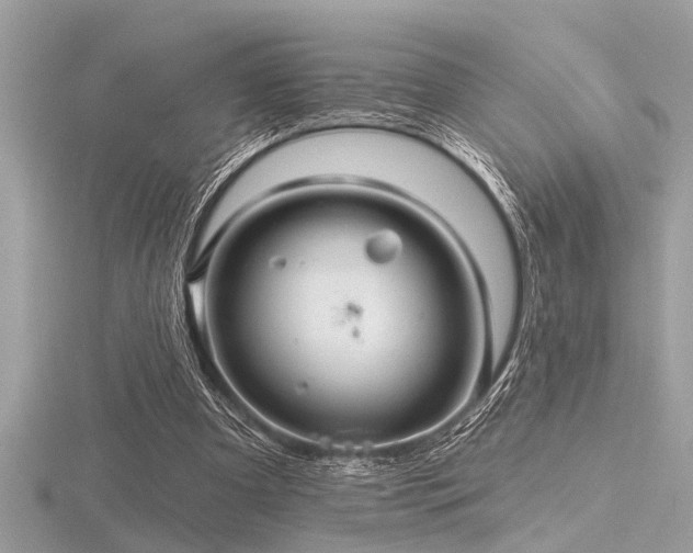 X0000116590297200912101545