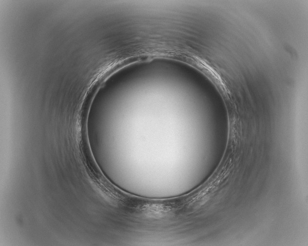 X0000116590298200912101545