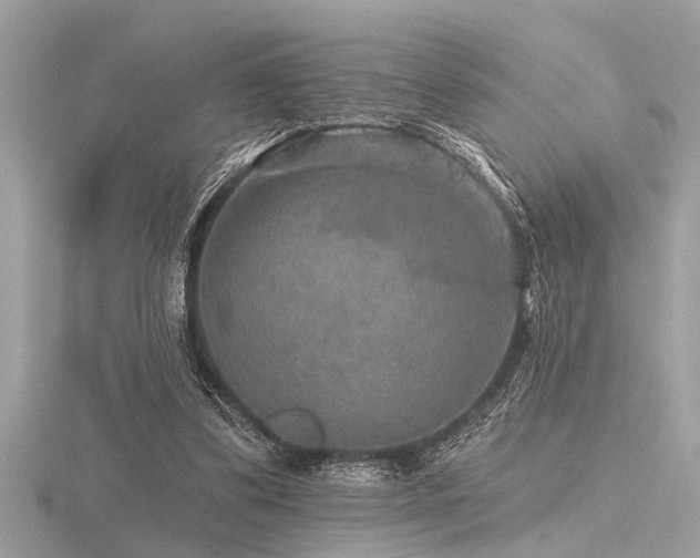 X0000116590299200912101545