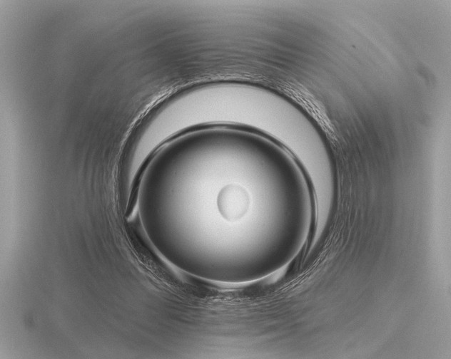 X0000116590300200912101545