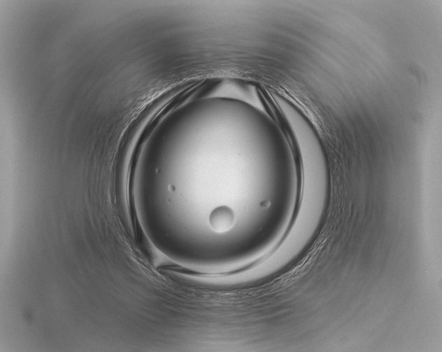 X0000116590301200912101545