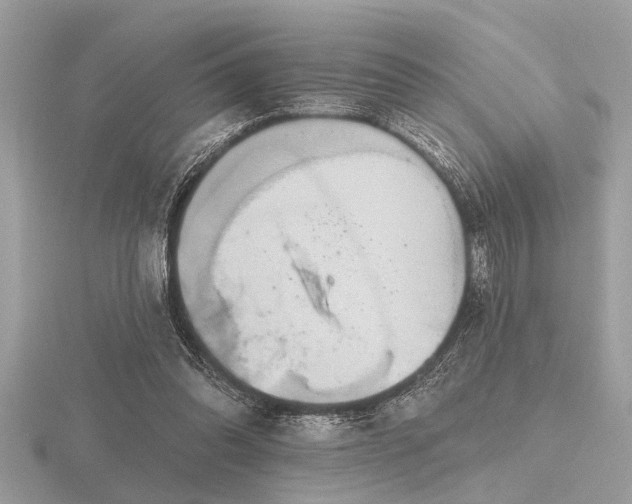 X0000116590302200912101545