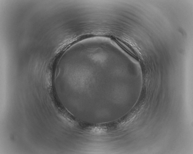 X0000116590303200912101545