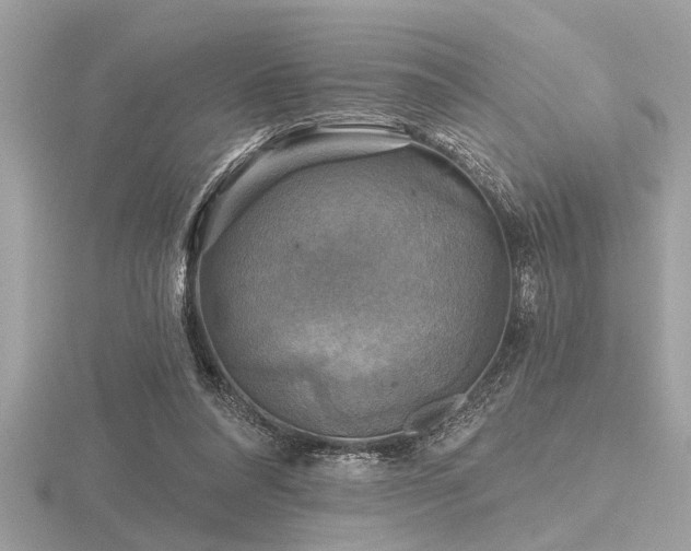 X0000116590304200912101545