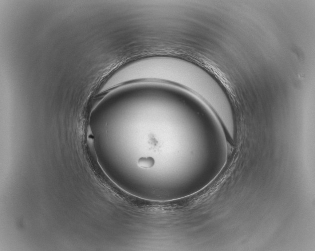 X0000116590305200912101545