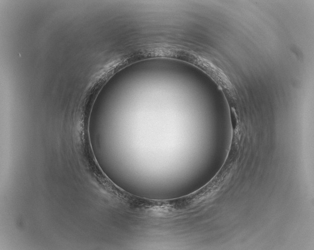 X0000116590306200912101545