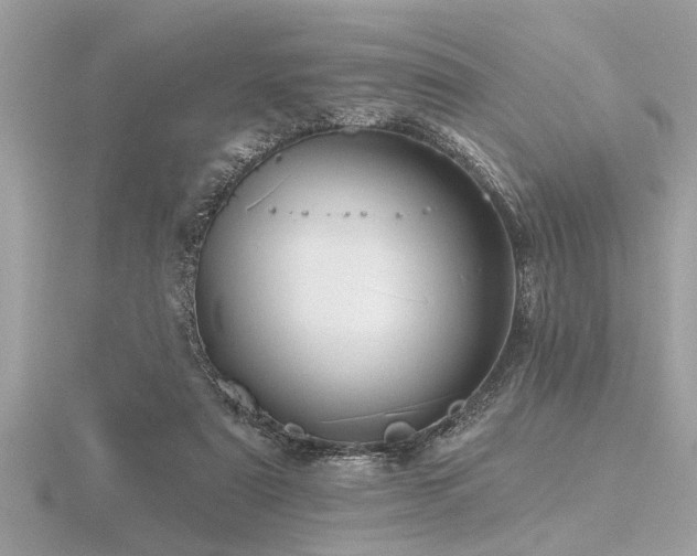 X0000116590307200912101545