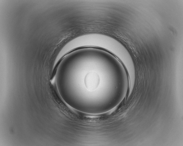 X0000116590308200912101545