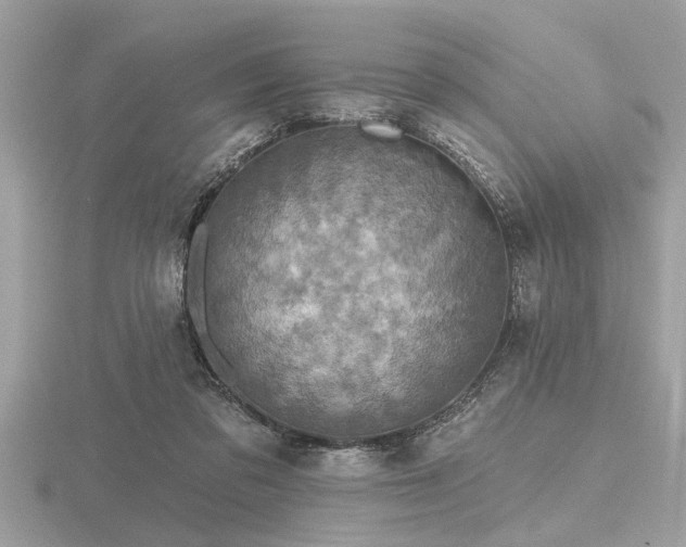 X0000116590309200912101545