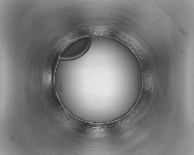 X0000116590310200912101545