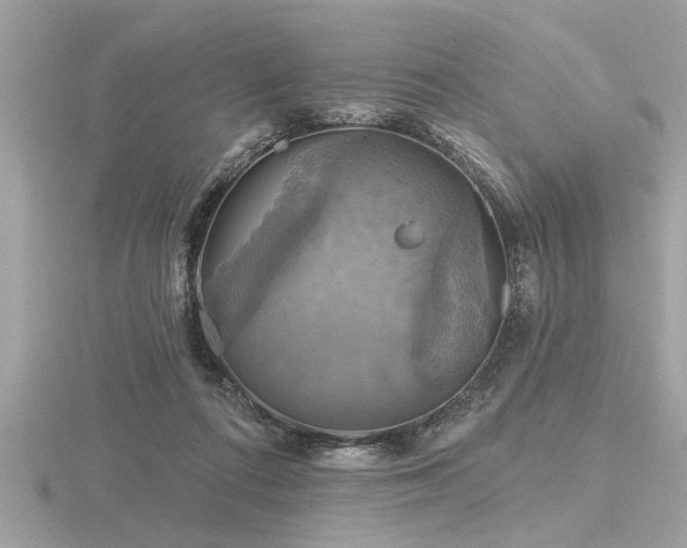 X0000116590312200912101545