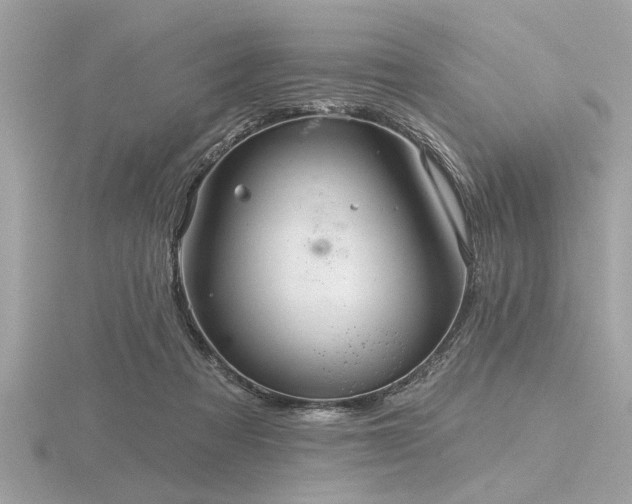 X0000116590313200912101545