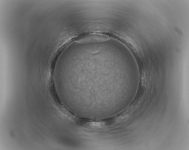 X0000116590314200912101545