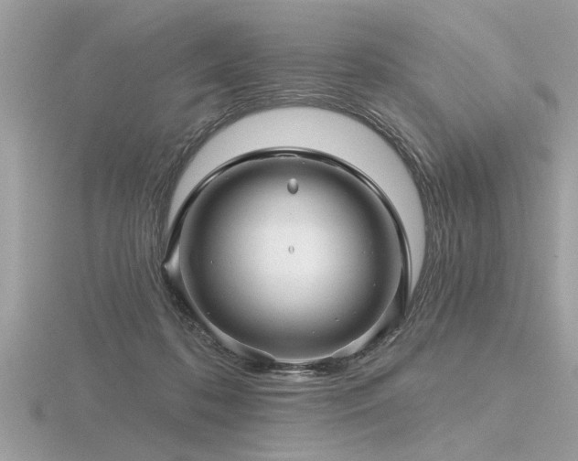 X0000116590316200912101545