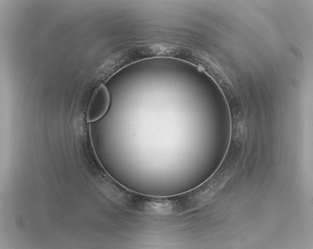 X0000116590317200912101545