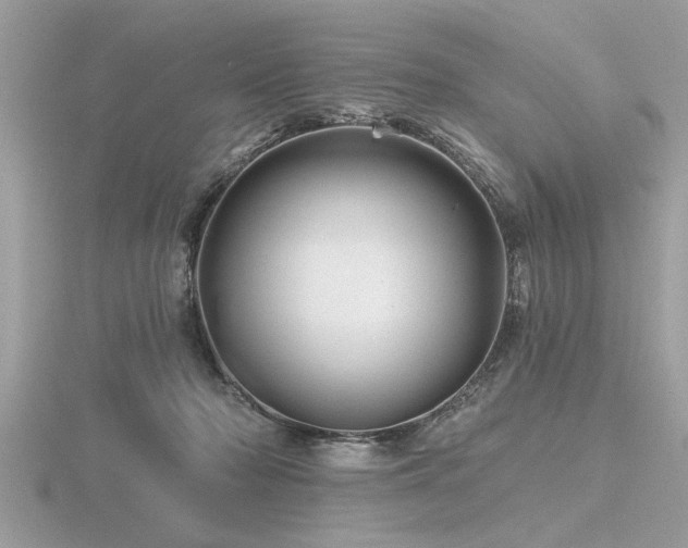 X0000116590318200912101545