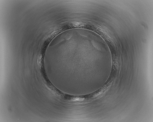 X0000116590319200912101545