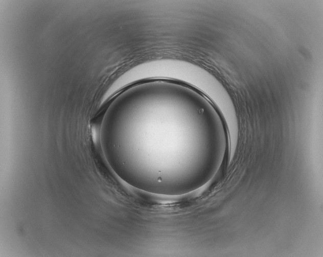 X0000116590320200912101545