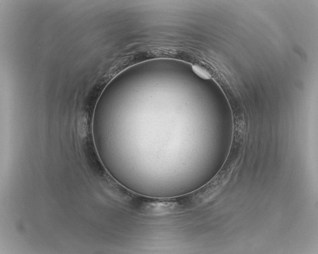 X0000116590323200912101545