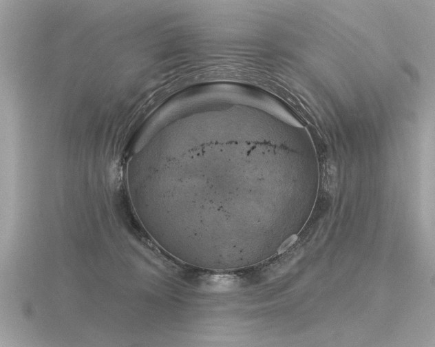 X0000116590324200912101545