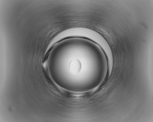 X0000116590325200912101544