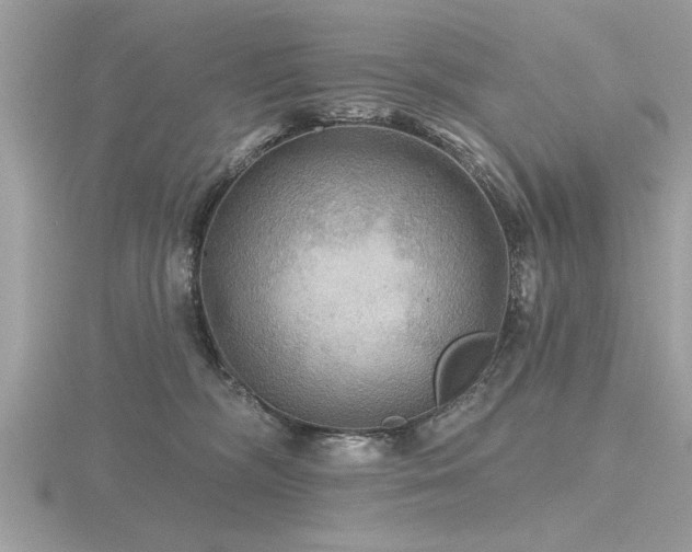 X0000116590326200912101544