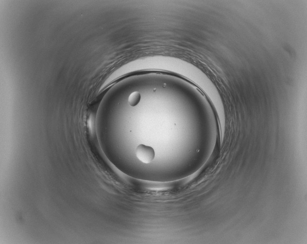 X0000116590328200912101544