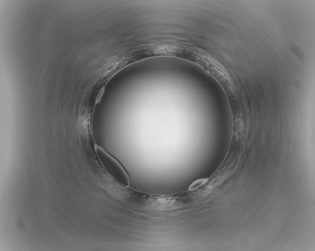 X0000116590329200912101544