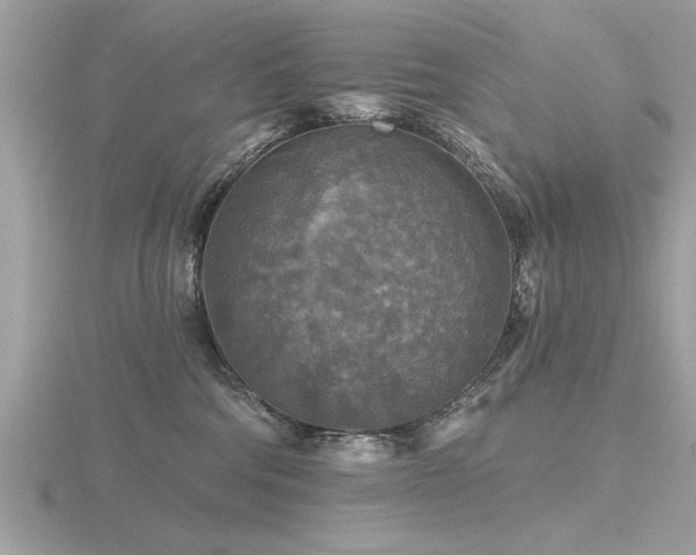 X0000116590330200912101544