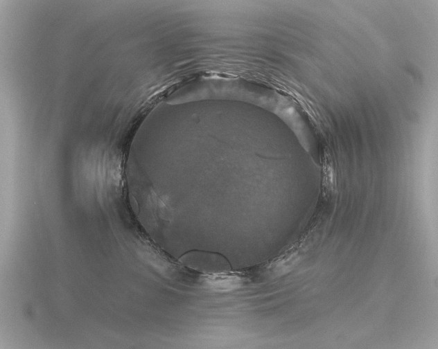 X0000116590331200912101544