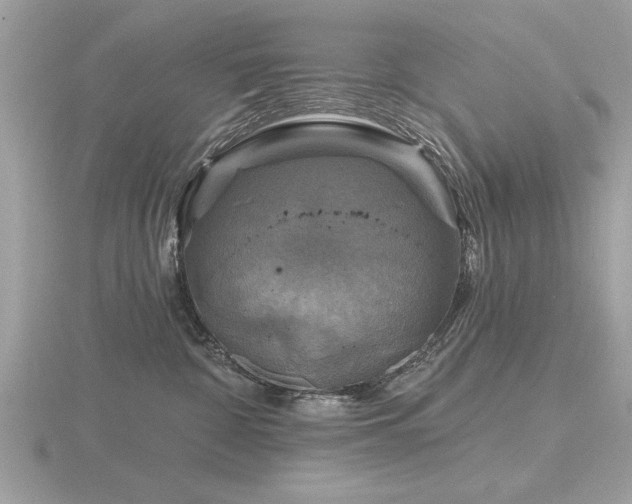 X0000116590332200912101544