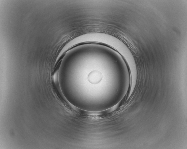 X0000116590333200912101544