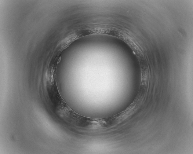 X0000116590334200912101544