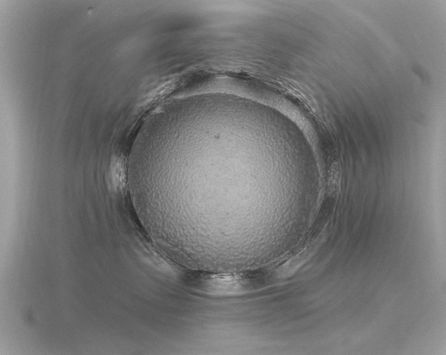 X0000116590335200912101544