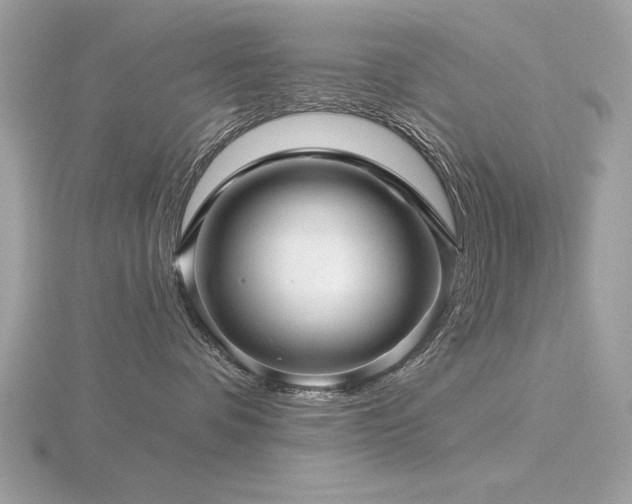 X0000116590336200912101544