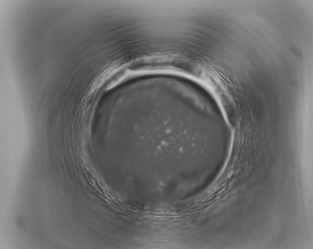 X0000116590337200912101544