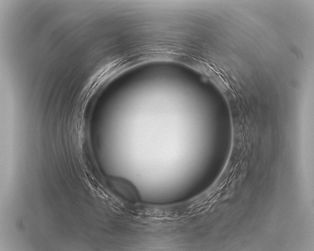 X0000116590338200912101544