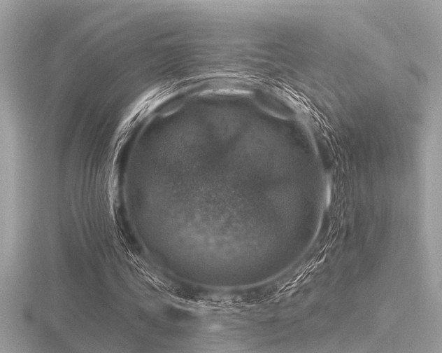 X0000116590339200912101544