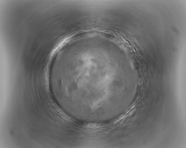 X0000116590341200912101544