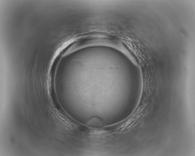 X0000116590342200912101544