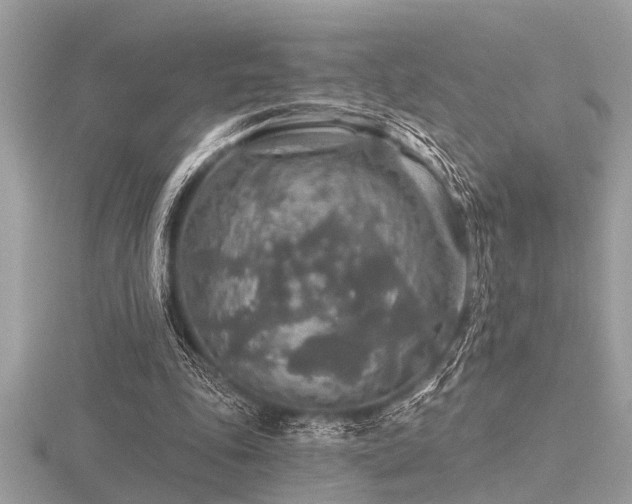 X0000116590343200912101544