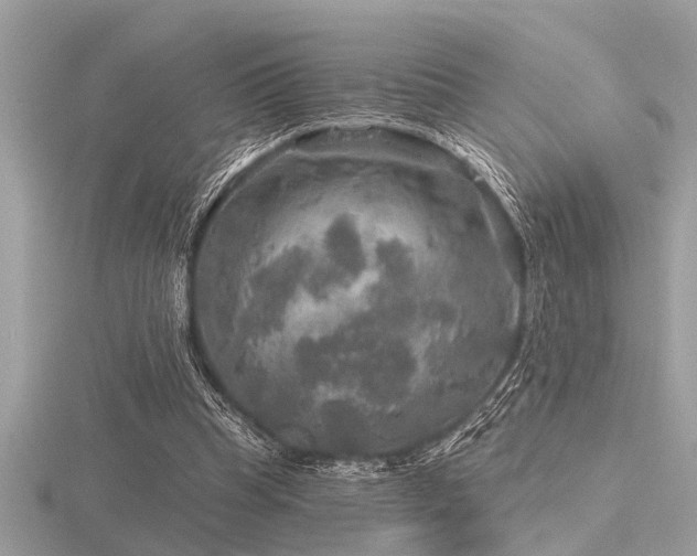 X0000116590345200912101544