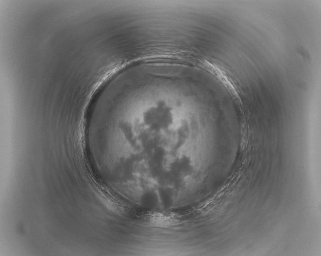 X0000116590346200912101544