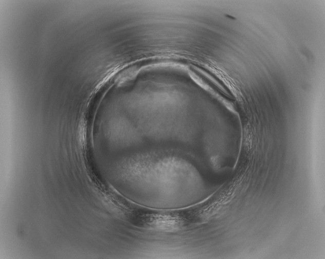 X0000116590347200912101544