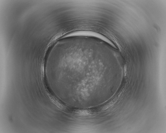 X0000116590349200912101544