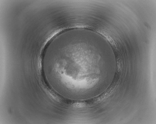 X0000116590350200912101544