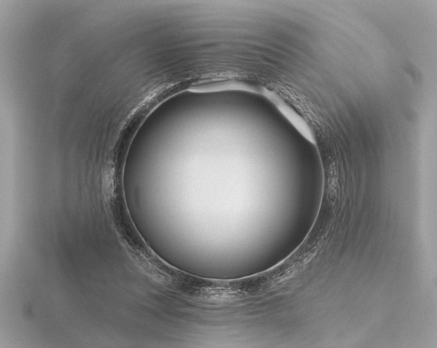 X0000116590351200912101544