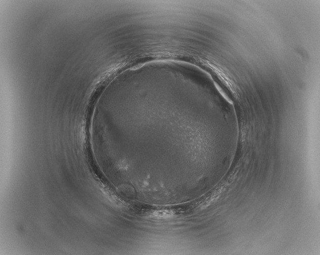 X0000116590353200912101544