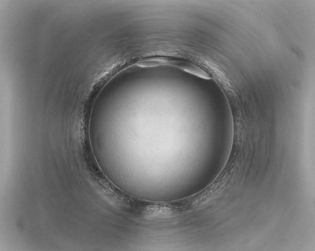 X0000116590354200912101544