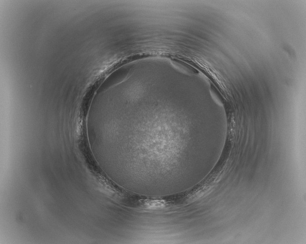 X0000116590355200912101544